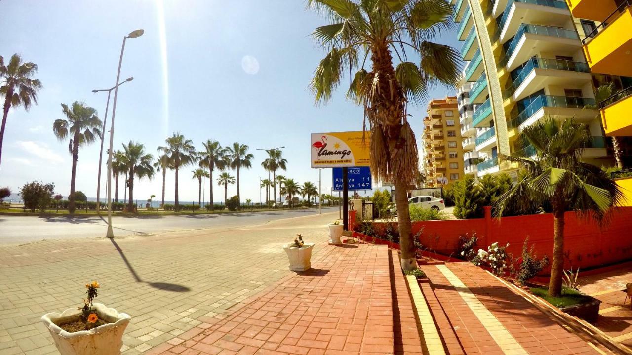 Flamingo Beach & Suite Mahmutlar Eksteriør bilde